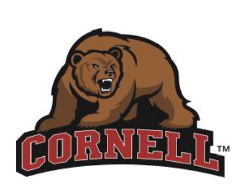 Cornell Big Red Bear Knottie® Plush Dog Toy – Officially Licensed NCAA HuggleHounds