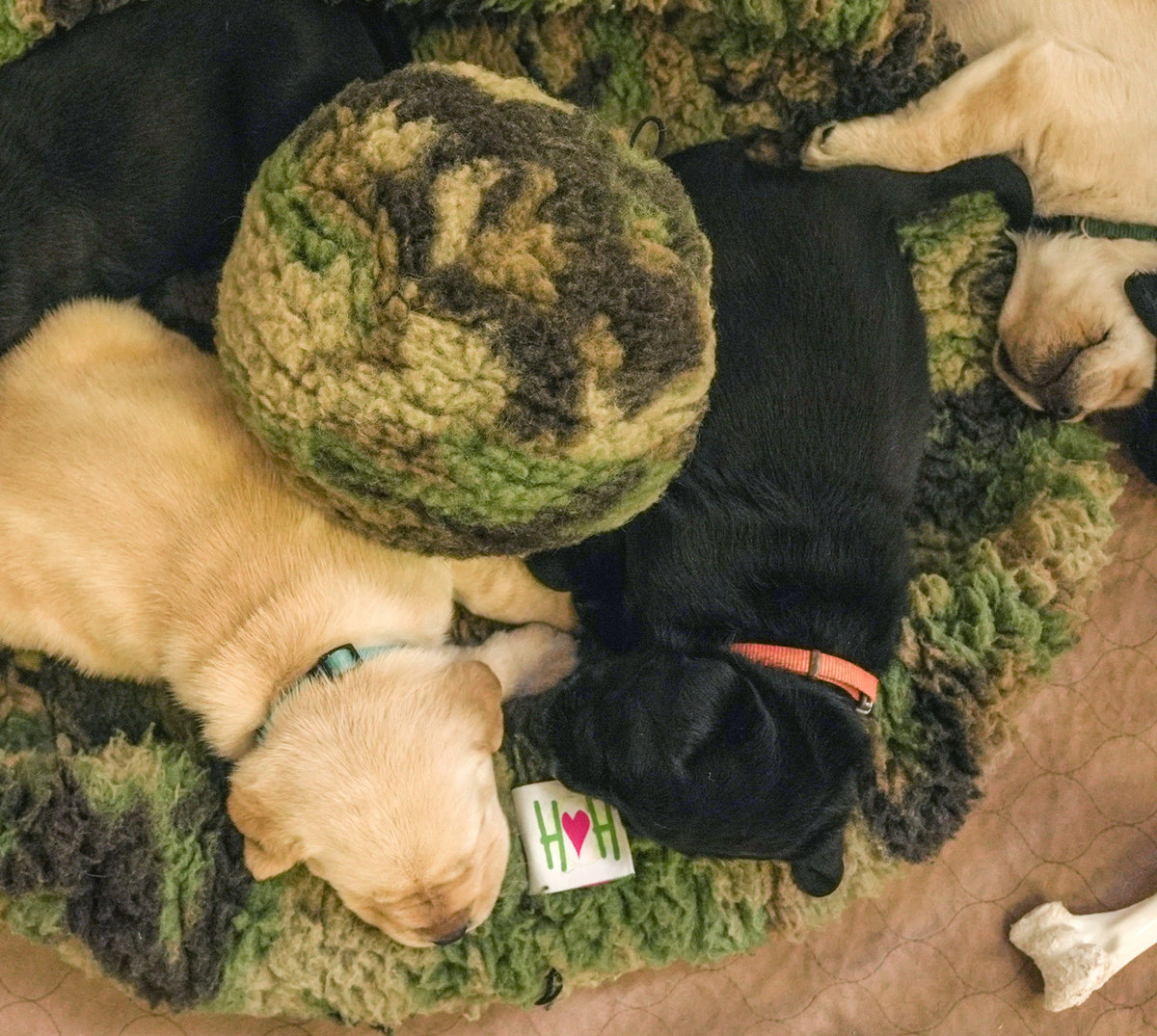Three puppies sleeping on a green textured blanket with a bone toy nearby.