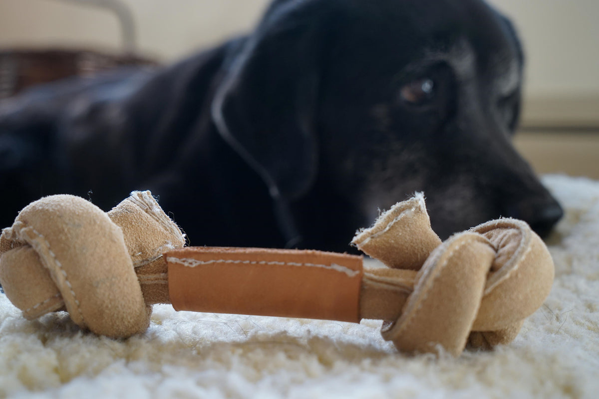 Huggle-Hide® Natural Leather Bone Dog Toy 3-Pack – Rawhide-Free, Water Buffalo & Cotton Rope HuggleHounds