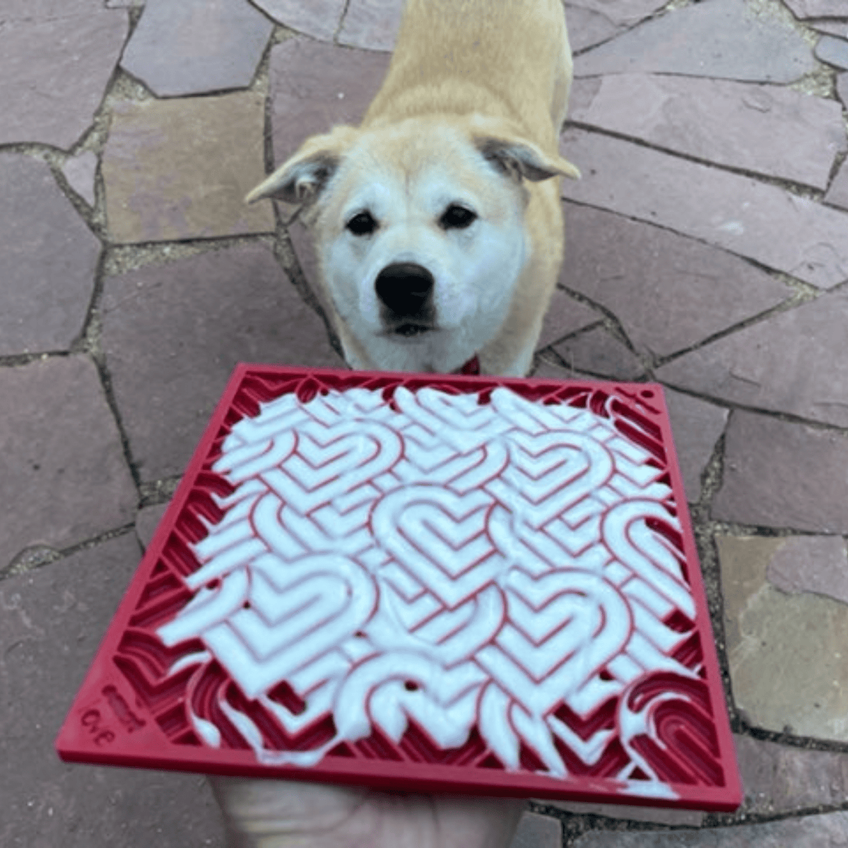 SodaPup Lick Mat for Dogs & Cats – Enrichment Feeder Farm To Pet
