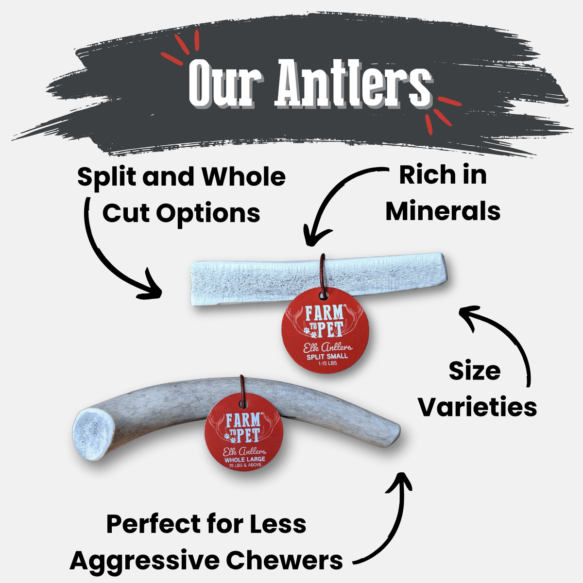 Diagram of antlers with text highlighting features on a gray background