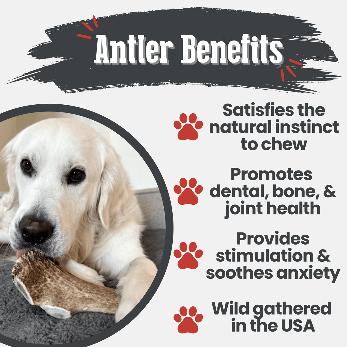 Farm to Pet Elk Antler Dog Chews – Whole & Split, All Sizes Farm To Pet