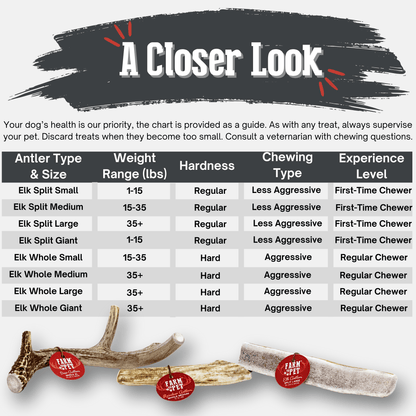 Elk Antler Dog Chews | All-Natural Whole and Split Elk Antler Chews for Dogs