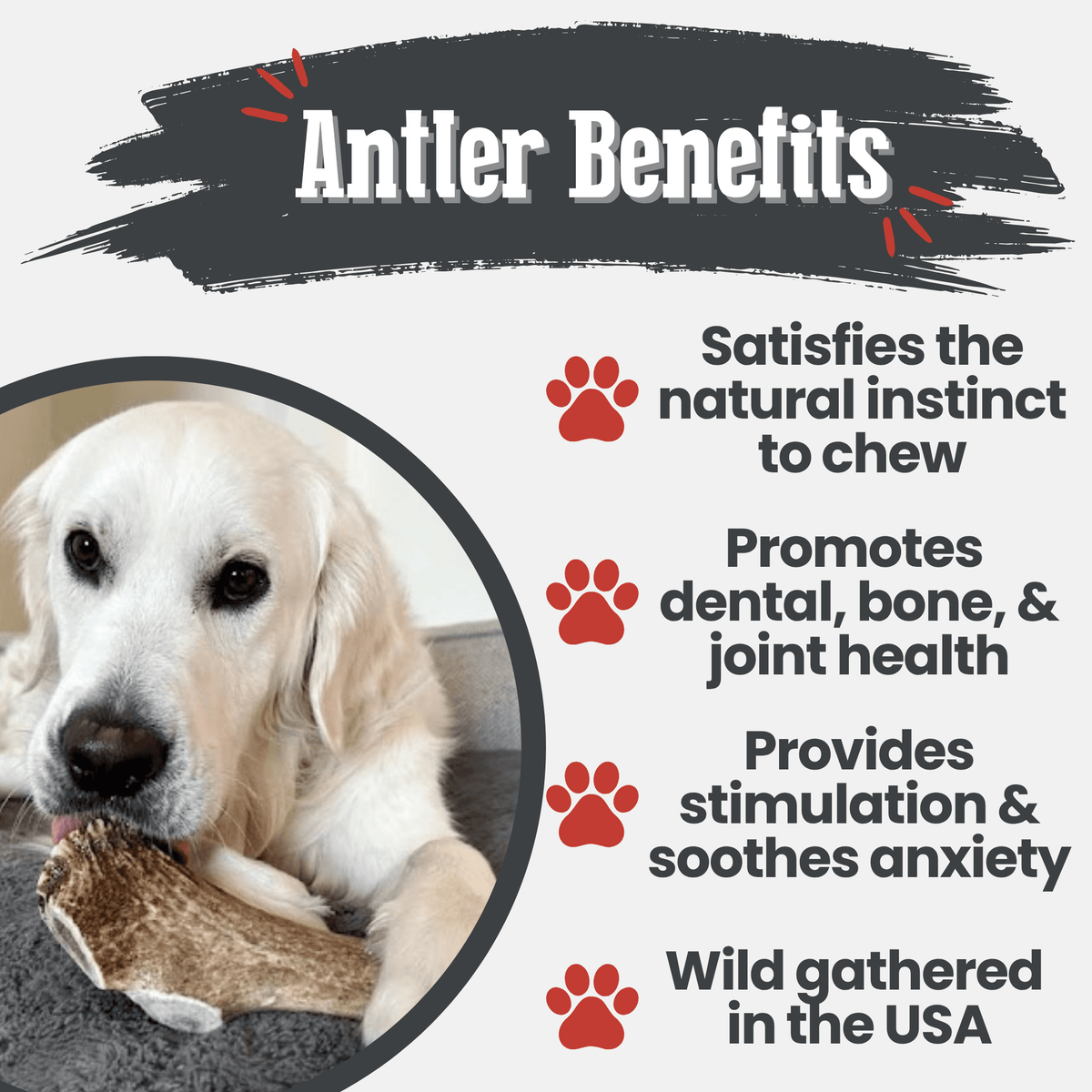 Farm to Pet Elk Antler Dog Chews – Whole & Split, All Sizes Farm To Pet