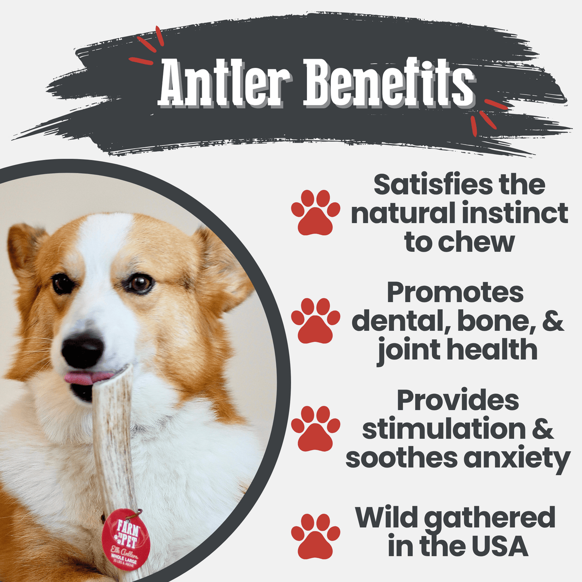 Farm to Pet Elk Antler Dog Chews – Whole & Split, All Sizes Farm To Pet