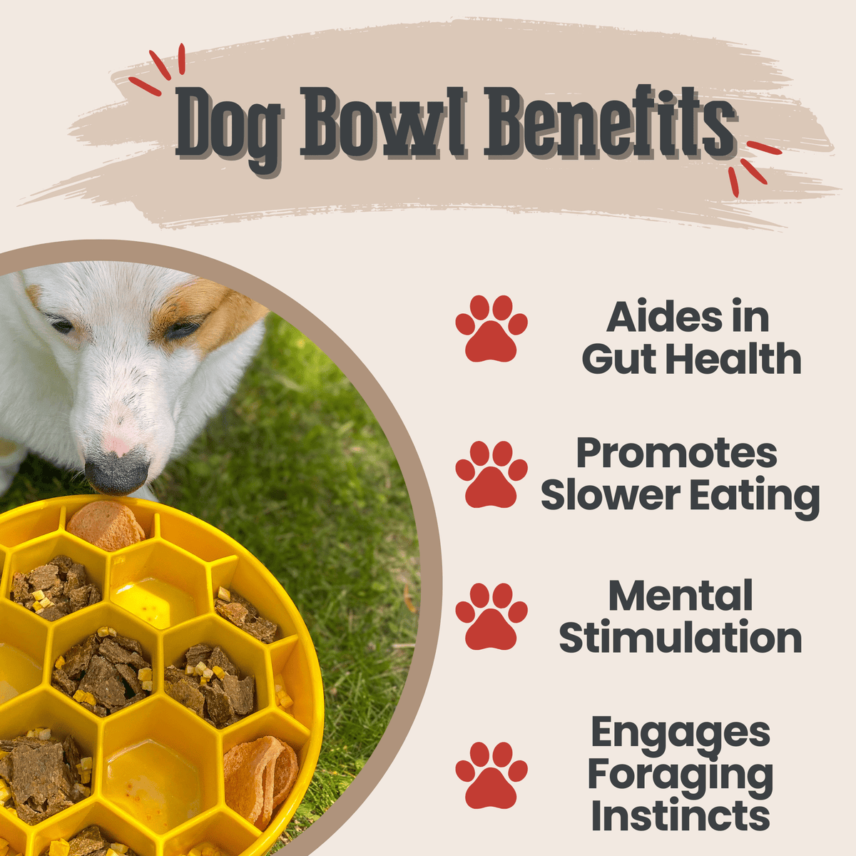 SodaPup Slow Feeder Dog Bowl – Enrichment Design Farm To Pet