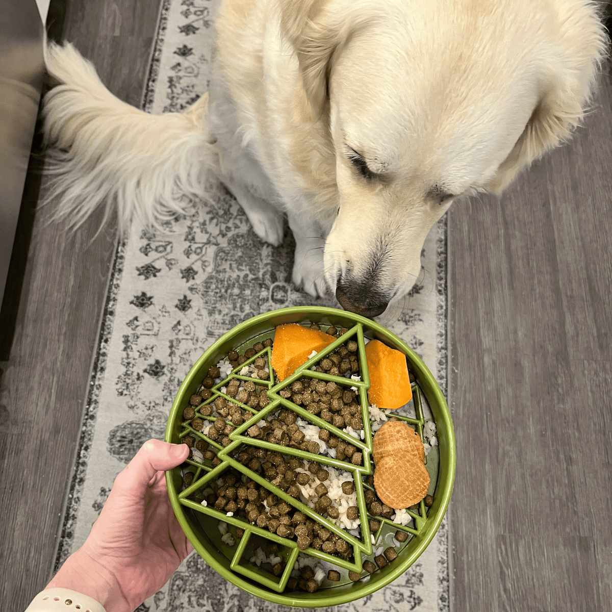 SodaPup Slow Feeder Dog Bowl – Enrichment Design Farm To Pet