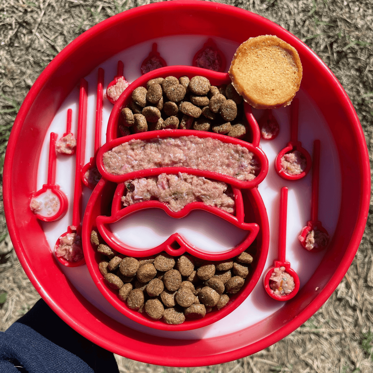 SodaPup Slow Feeder Dog Bowl – Enrichment Design Farm To Pet