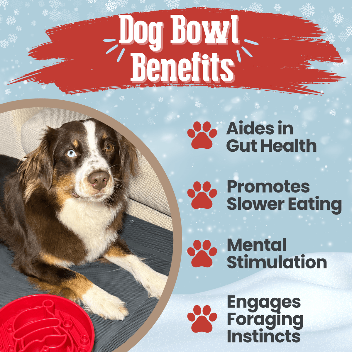 SodaPup Slow Feeder Dog Bowl – Enrichment Design Farm To Pet