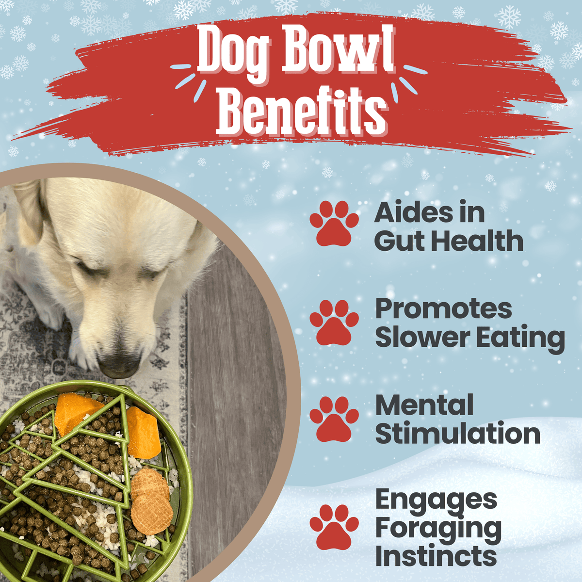 SodaPup Slow Feeder Dog Bowl – Enrichment Design Farm To Pet