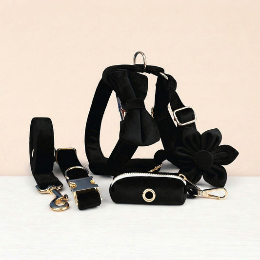 Black velvet personalized dog harness, collar, and leash set with engraved buckle