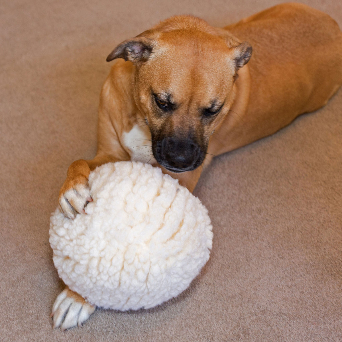 HuggleFleece® Plush Ball Dog Toy — Soft, Washable & Cuddly HuggleHounds