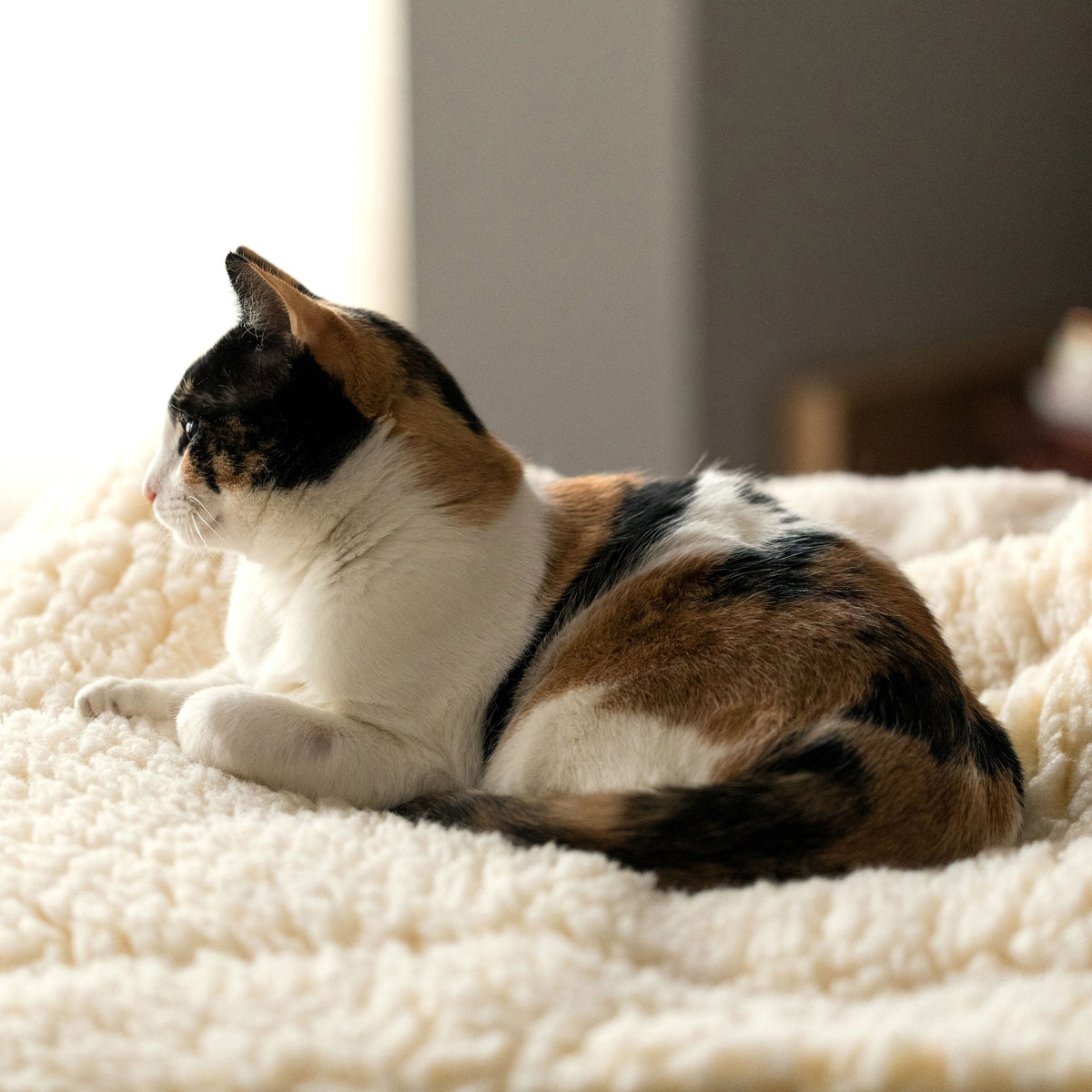 HuggleFleece® Fleece Mat for Dogs & Cats | Orthopedic Pet Bed HuggleHounds