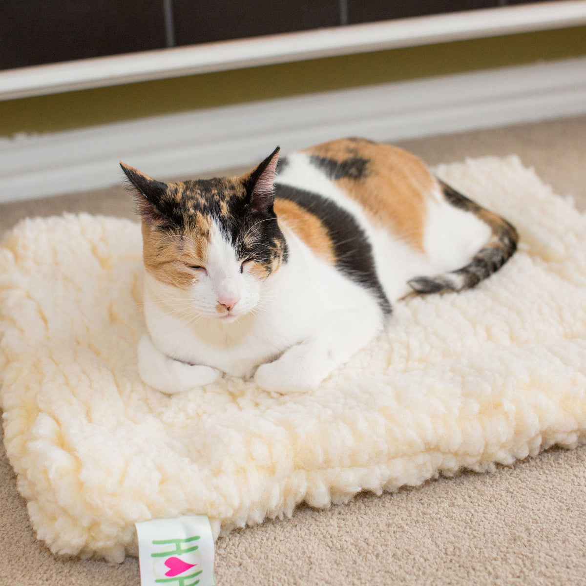 HuggleFleece® Fleece Mat for Dogs & Cats | Orthopedic Pet Bed HuggleHounds