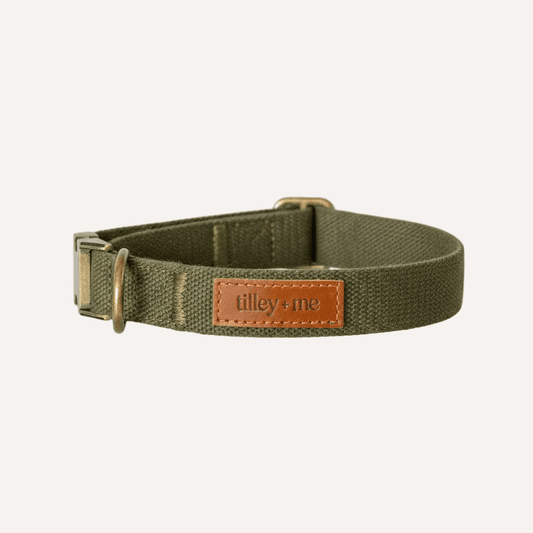 Green dog collar with a brown leather patch on a white background