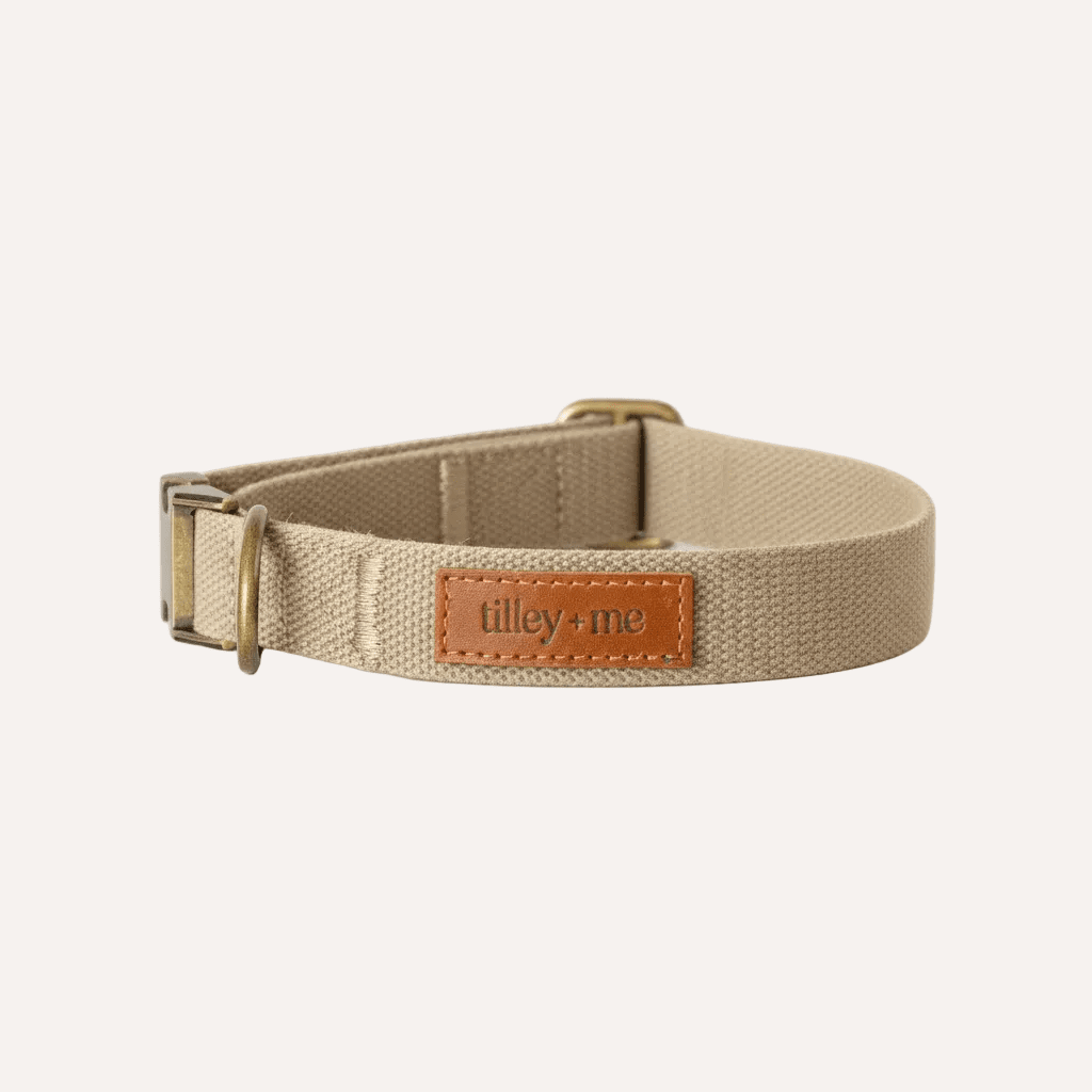 Tilley + Me Joshua Tree Hemp Cotton Dog Collar | Durable, Adjustable & Soft Tilley + Me