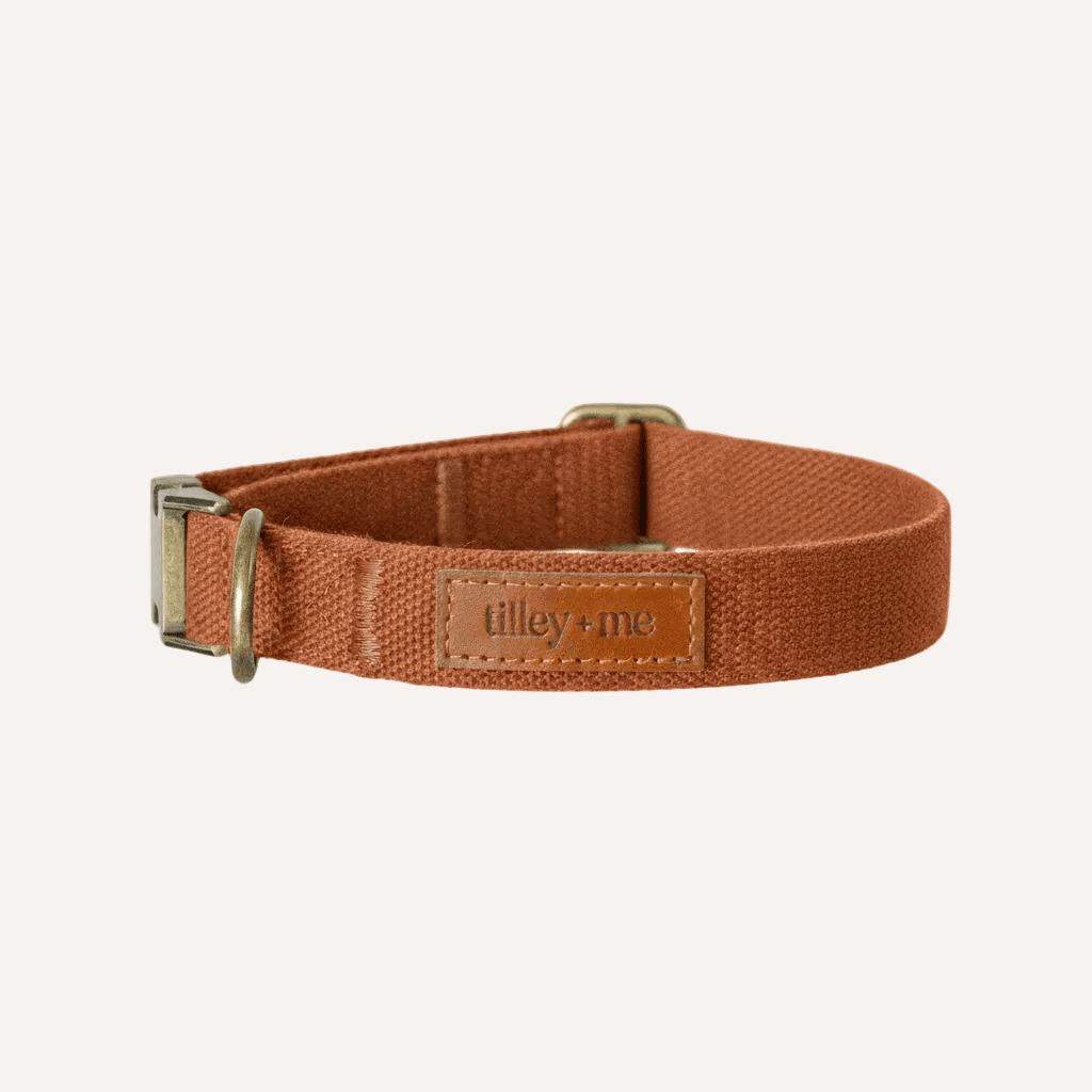 Tilley + Me Joshua Tree Hemp Cotton Dog Collar | Durable, Adjustable & Soft Tilley + Me