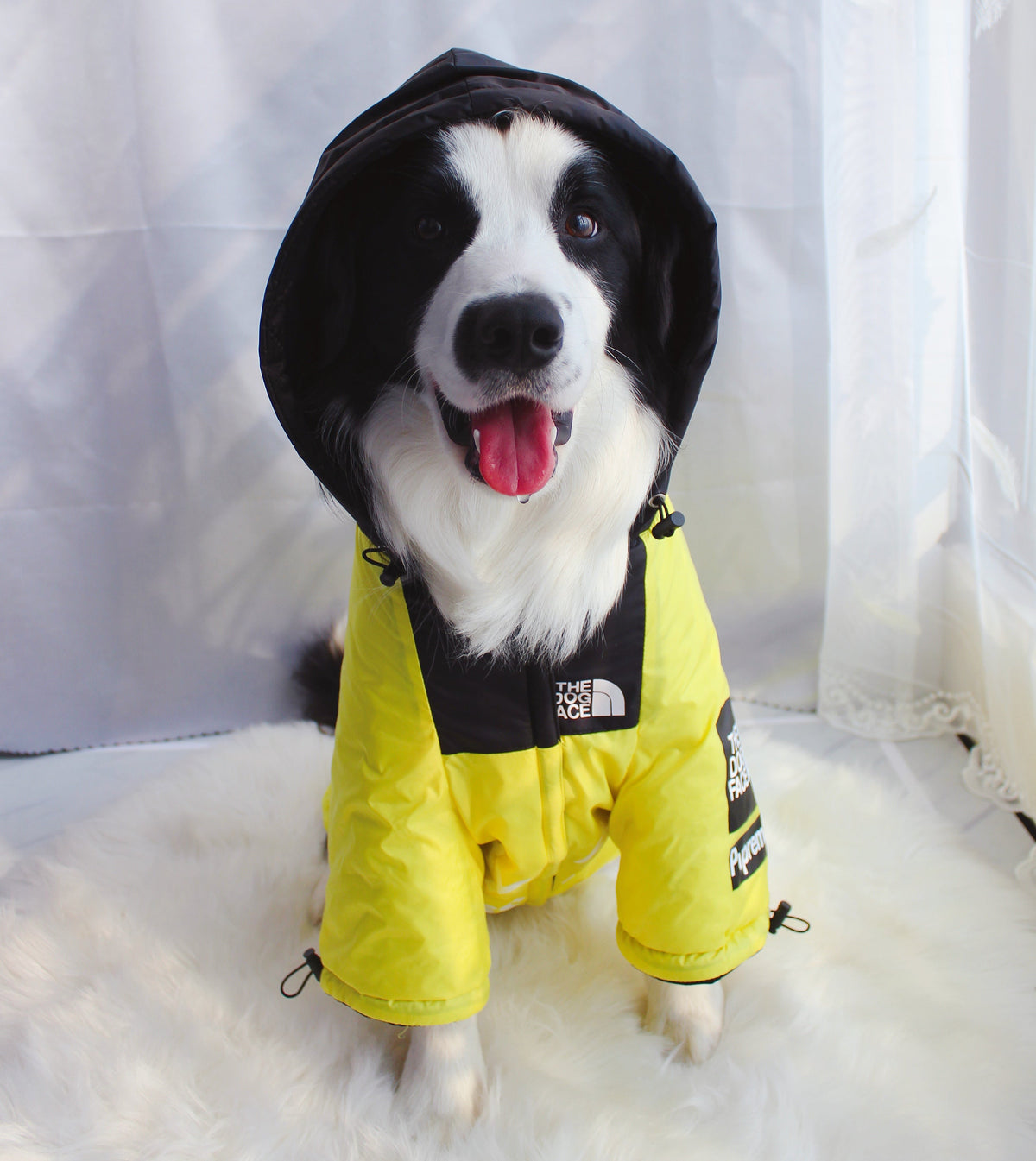 Windproof Waterproof Dog Rain Jacket | Reflective Hooded Raincoat for Dogs & Cats | S–5XL Furr Baby Gifts