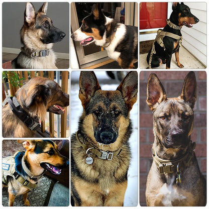 Training Collar Adjustable Tactical And Leash Set Control Handle