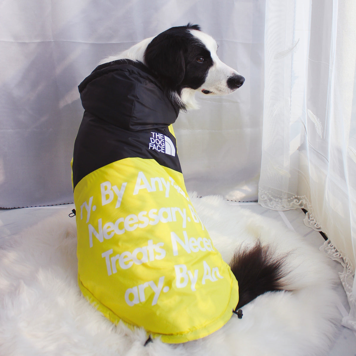 Windproof Waterproof Dog Rain Jacket | Reflective Hooded Raincoat for Dogs & Cats | S–5XL Furr Baby Gifts