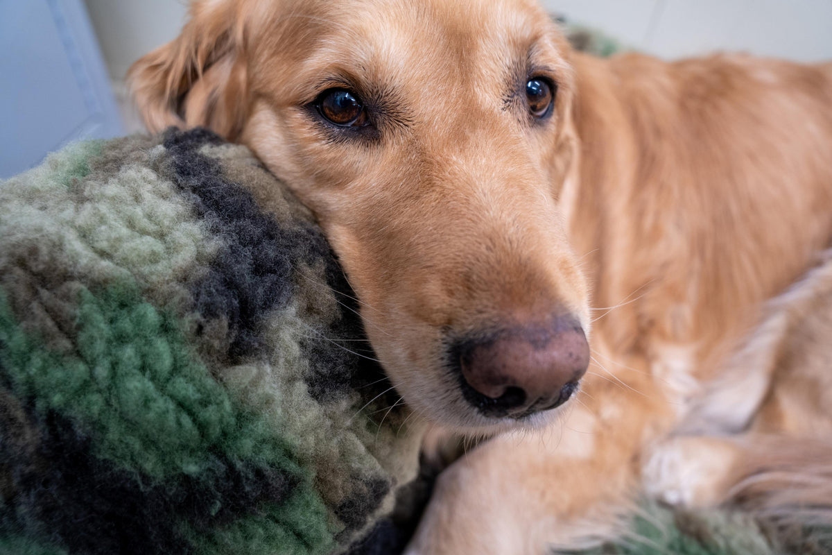 Camouflage HuggleFleece® Plush Ball Dog Toy – HuggleCause™ x Warrior Canine Connection HuggleHounds