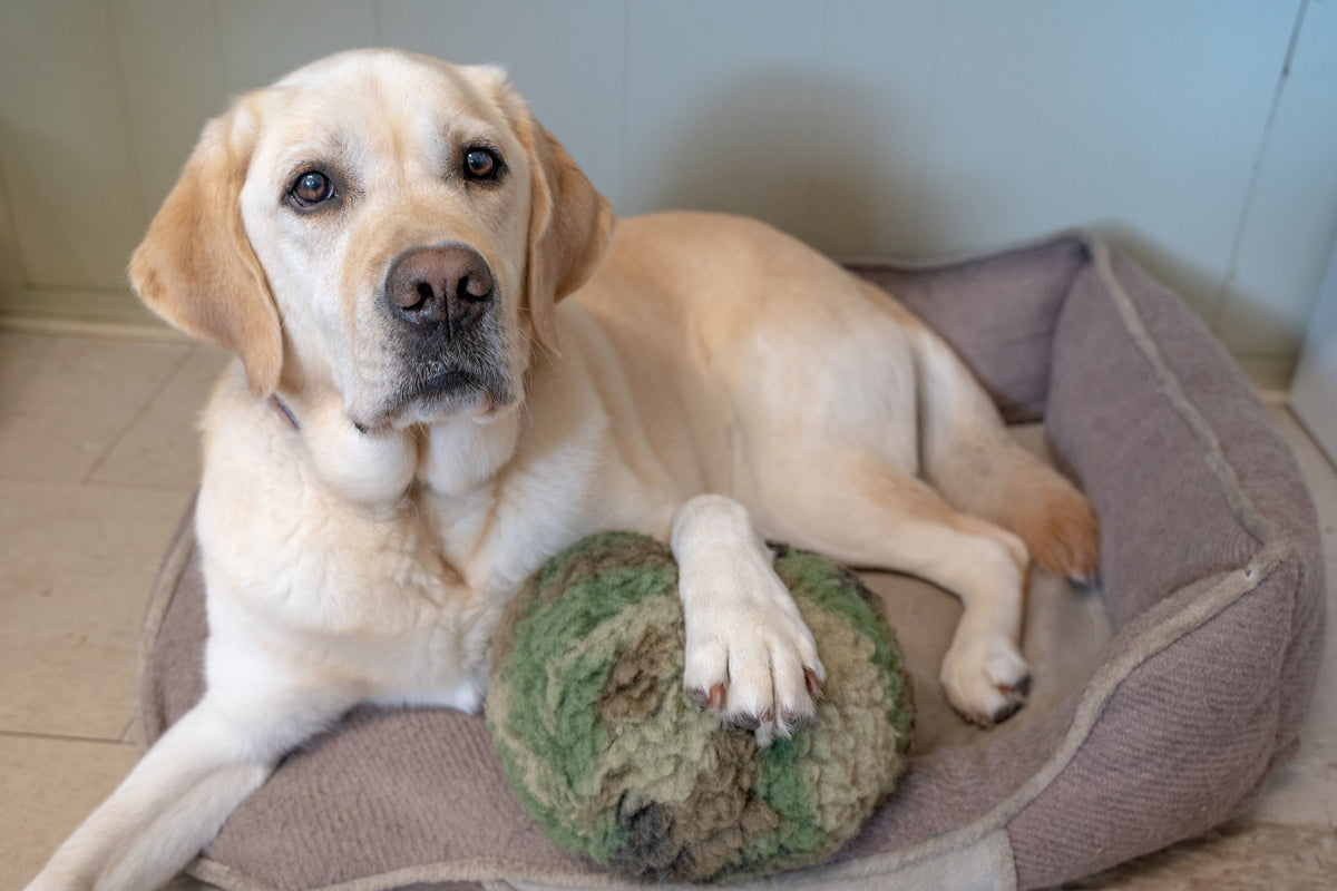 Camouflage HuggleFleece® Plush Ball Dog Toy – HuggleCause™ x Warrior Canine Connection HuggleHounds