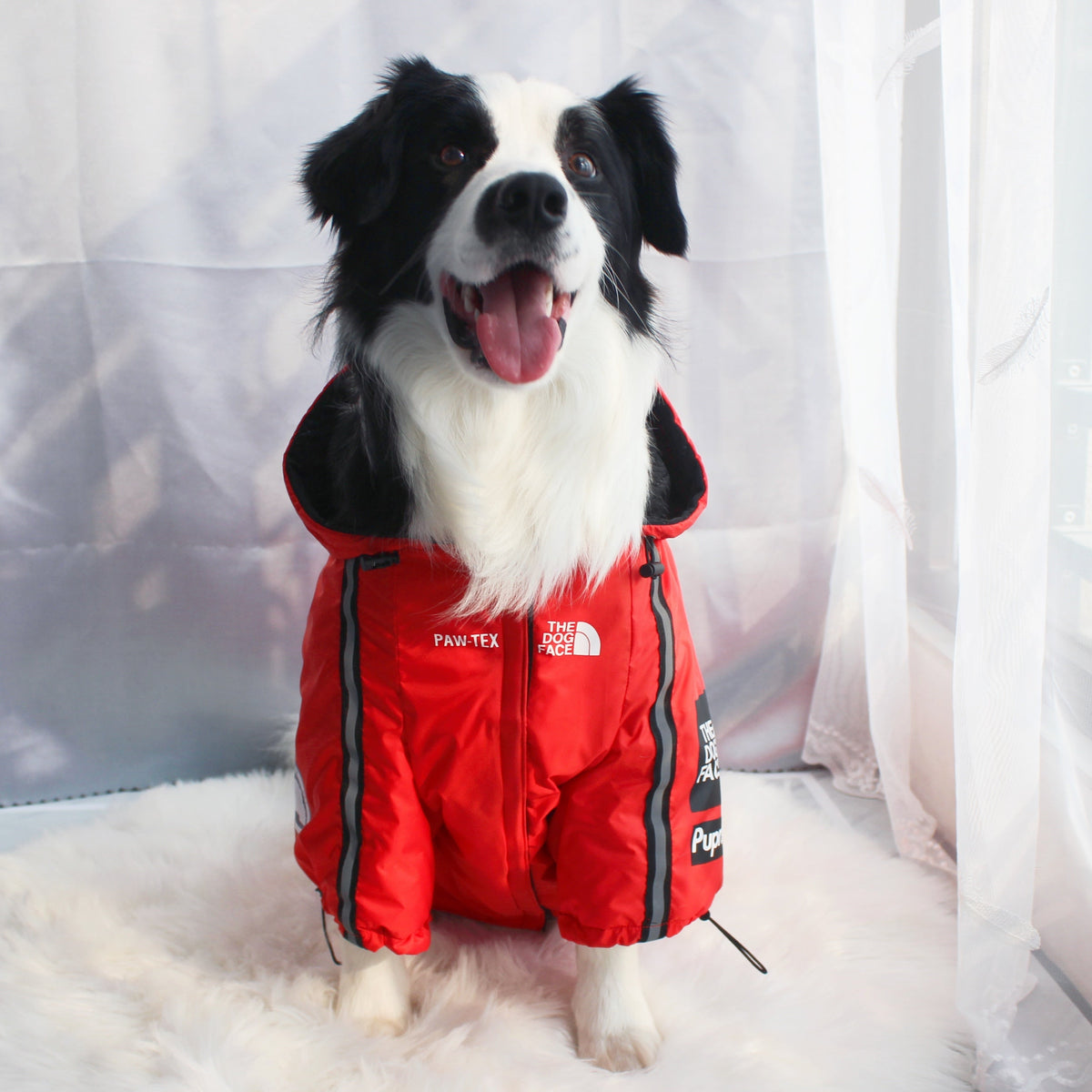 Windproof Waterproof Dog Rain Jacket | Reflective Hooded Raincoat for Dogs & Cats | S–5XL Furr Baby Gifts