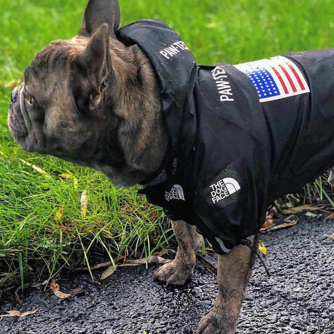 Windproof Waterproof Dog Rain Jacket | Reflective Hooded Raincoat for Dogs & Cats | S–5XL Furr Baby Gifts