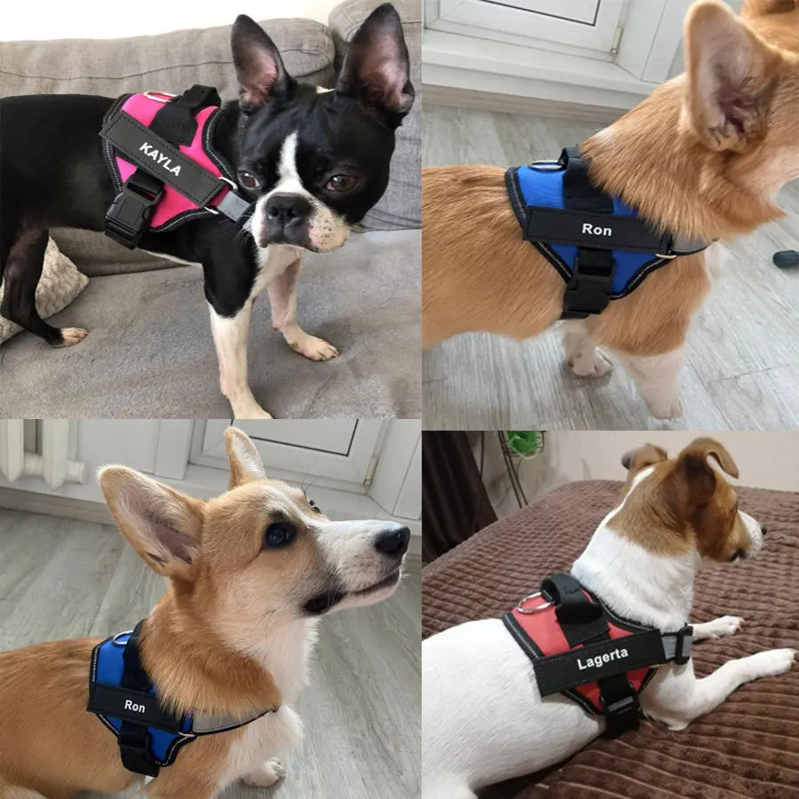 Reflective Breathable Adjustable Pet Harness