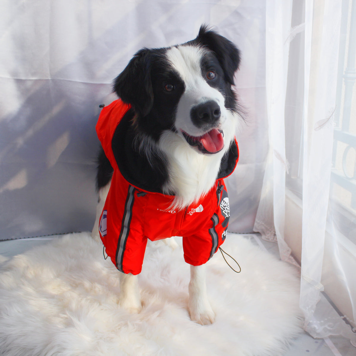 Windproof Waterproof Dog Rain Jacket | Reflective Hooded Raincoat for Dogs & Cats | S–5XL Furr Baby Gifts
