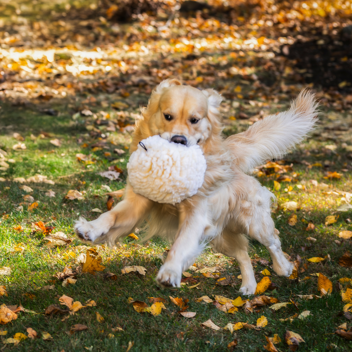 HuggleFleece® Plush Ball Dog Toy — Soft, Washable & Cuddly HuggleHounds