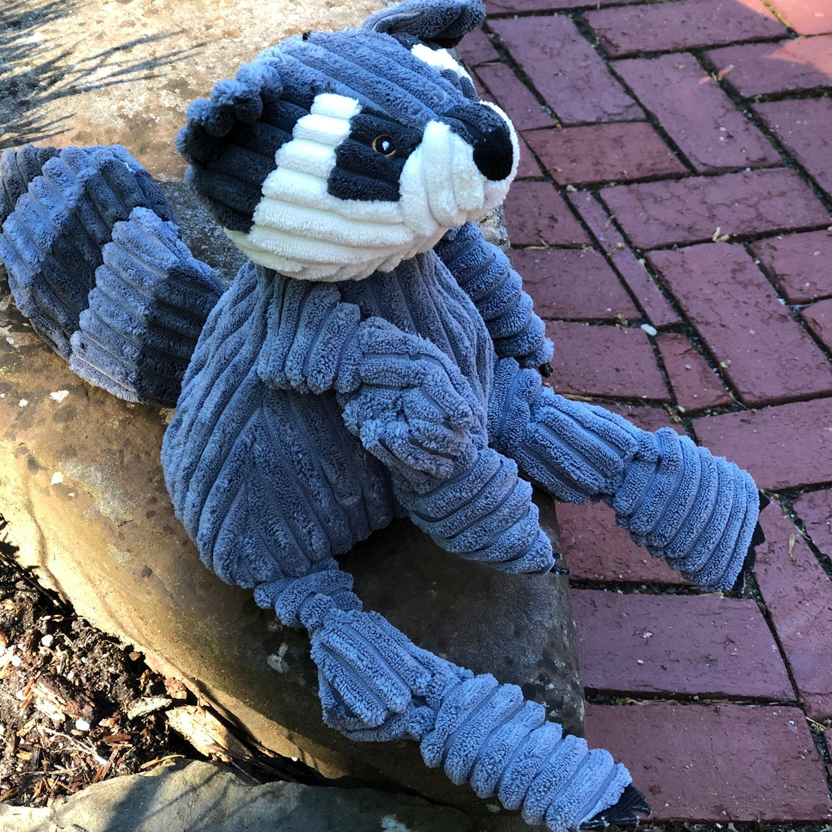Reggie Raccoon Knottie® Plush Dog Toy – 5-Squeaker Tug & Chew Toy HuggleHounds