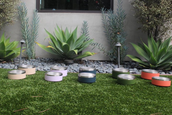 Colorful metal bowls on grass with plants and a wall in the background