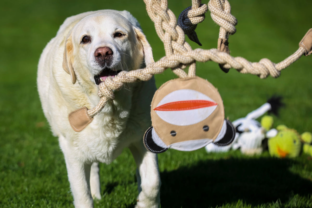 Stuey the Sock Monkey Natural Rope Knottie® Dog Toy – Large, 9mm Cotton & Hemp HuggleHounds