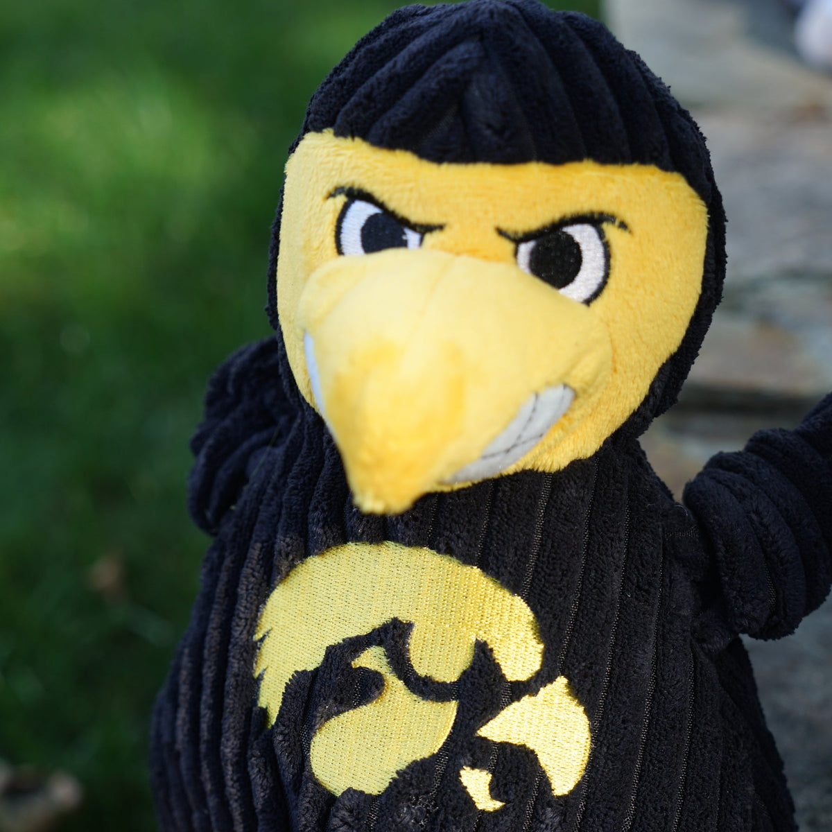 Iowa Hawkeyes Herky the Hawk Knottie® Plush Dog Toy – Officially Licensed NCAA HuggleHounds