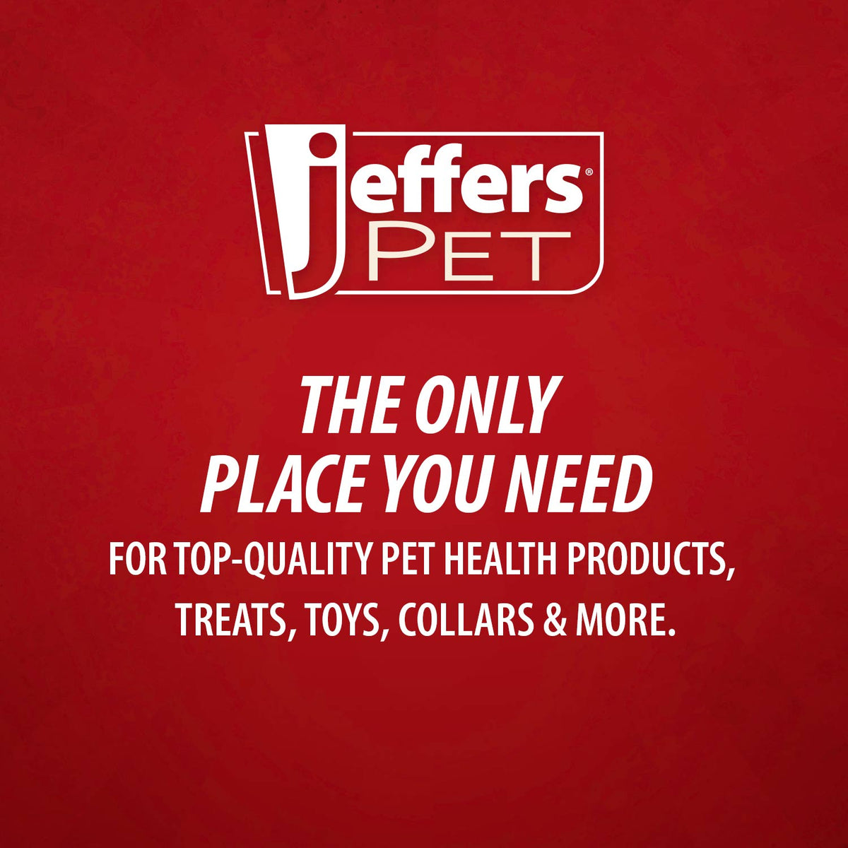 Jeffers Apricot Kernel Pet Shampoo | Exfoliating & Moisturizing Formula Jeffers