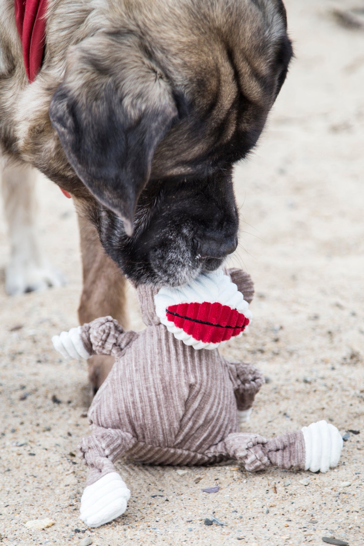 Stuey Sock Monkey Knottie® Plush Dog Toy – 5-Squeaker Tug & Chew Toy HuggleHounds