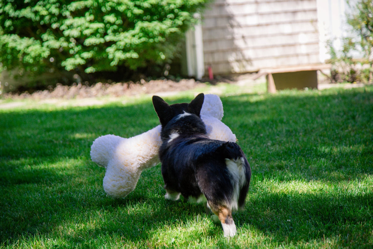 HuggleFleece® 2-Foot Plush Bone Dog Toy — Soft, Washable & Squeaky HuggleHounds