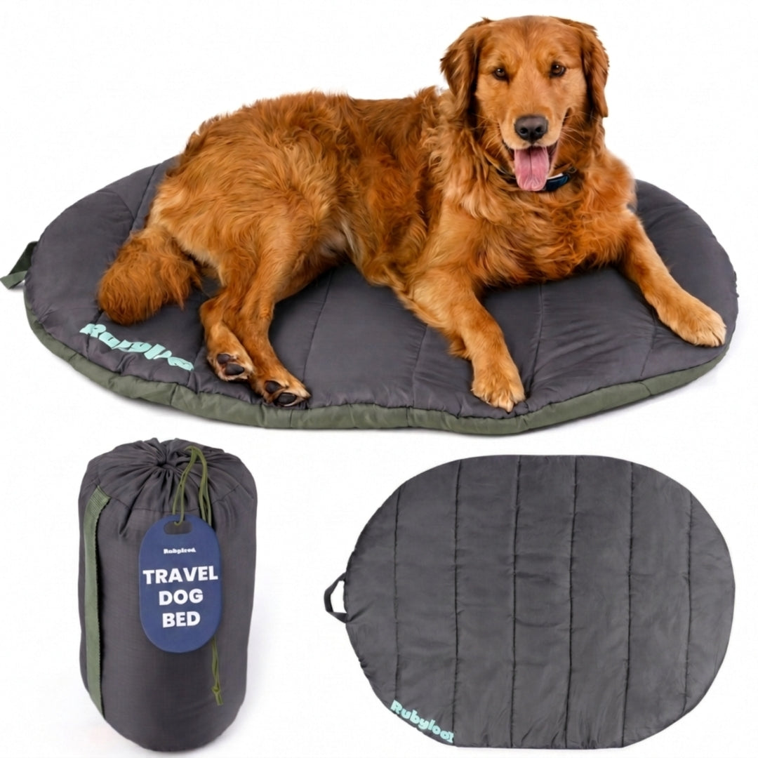 Travel Dog Bed - Foldable & Packable for Travel, Road Trip, Camping Rubyloo