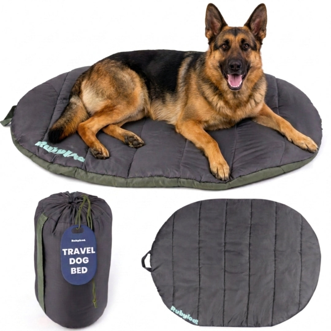 Travel Dog Bed - Foldable & Packable for Travel, Road Trip, Camping Rubyloo