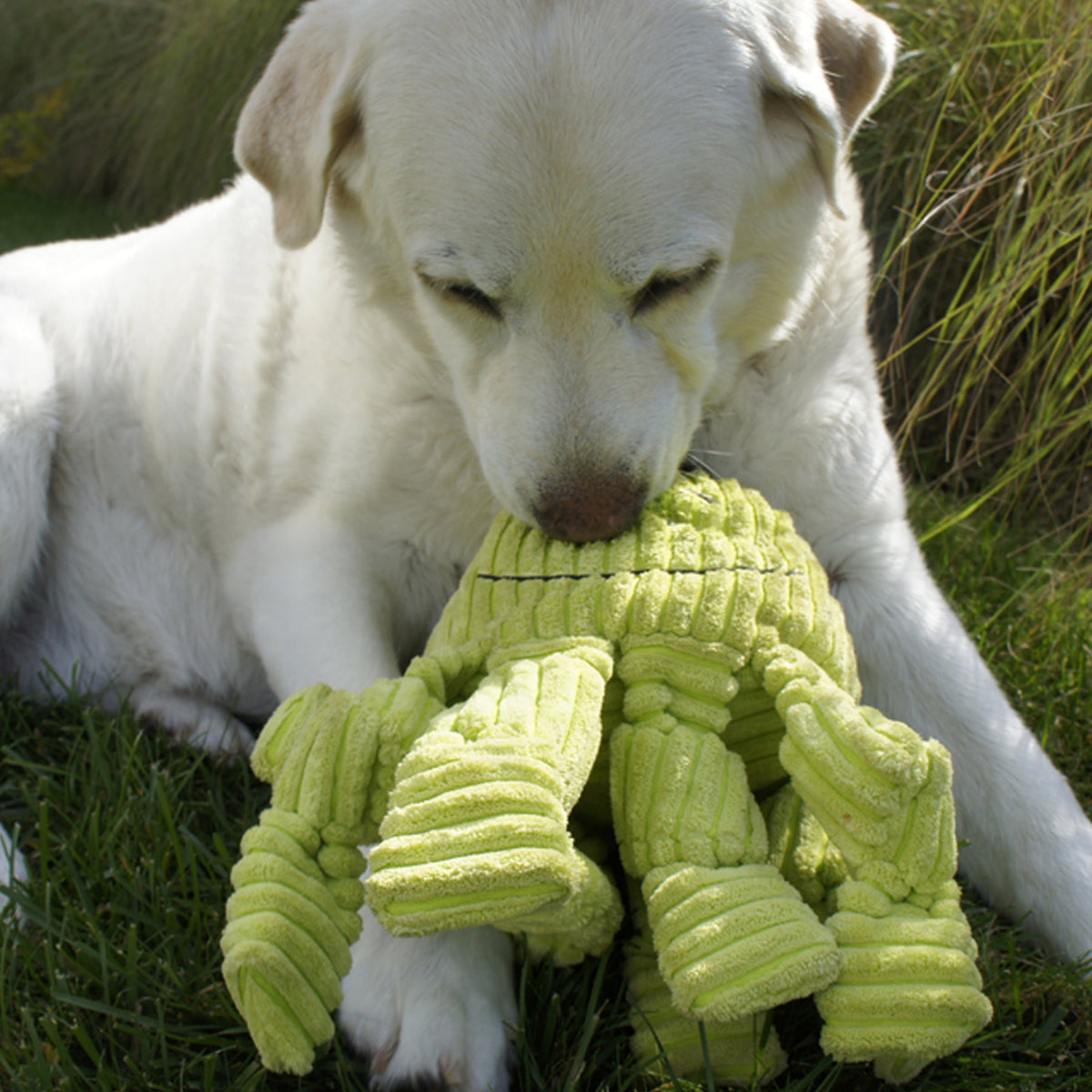Octavie Octopus Knottie® Plush Dog Toy – Multi-Squeaker Tug Toy for Dogs HuggleHounds
