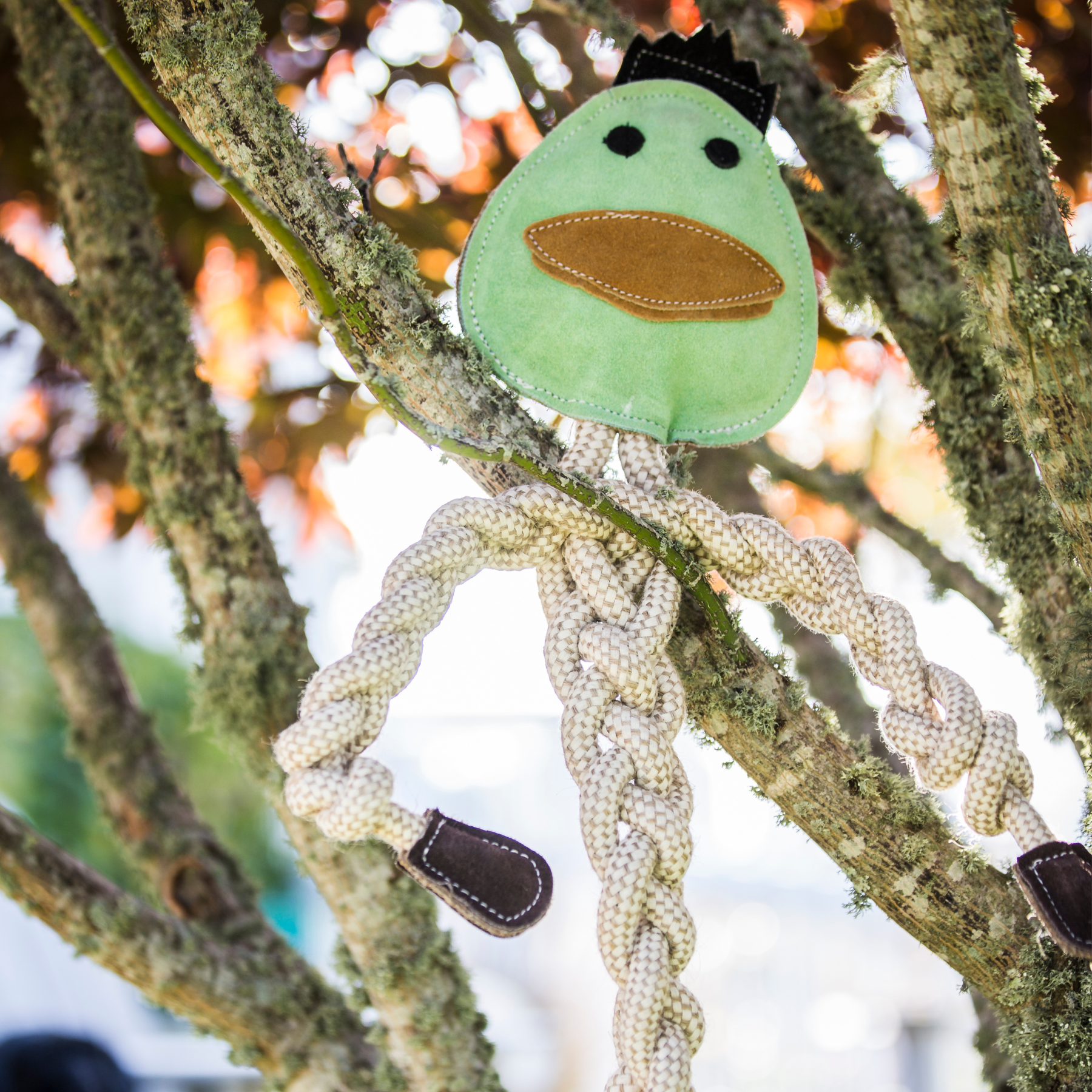 Green bird-shaped toy with a rope on a tree branch