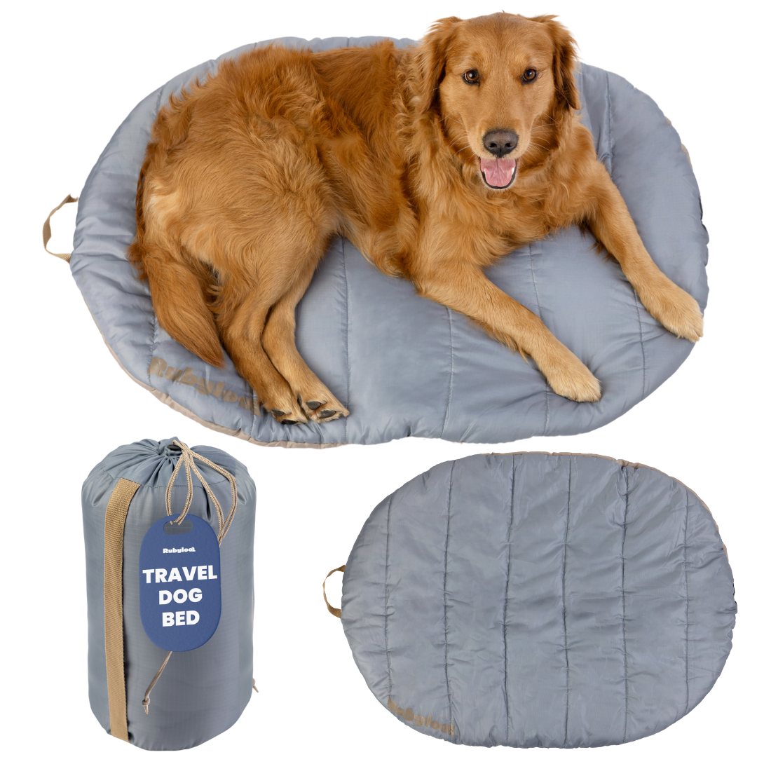 Travel Dog Bed - Foldable & Packable for Travel, Road Trip, Camping Rubyloo