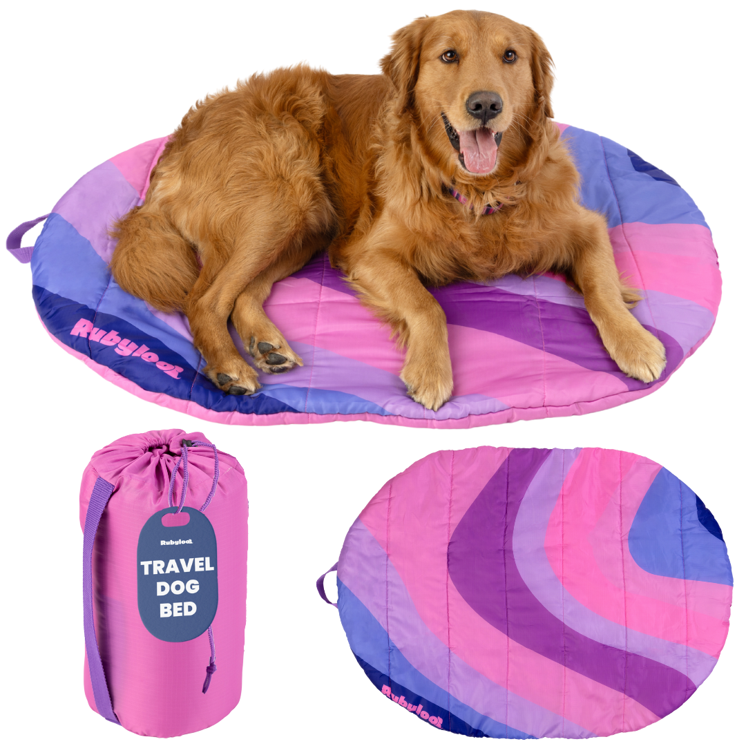 Travel Dog Bed - Foldable & Packable for Travel, Road Trip, Camping Rubyloo