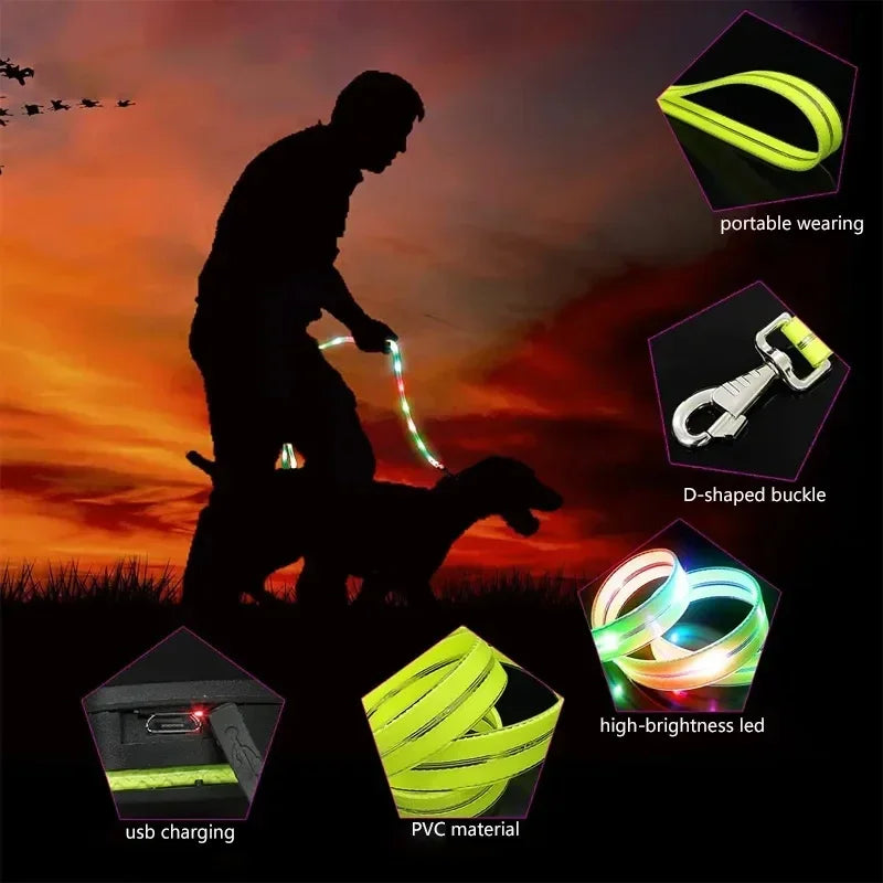 Light Up  Leash Safety Glow USB Rechargeable