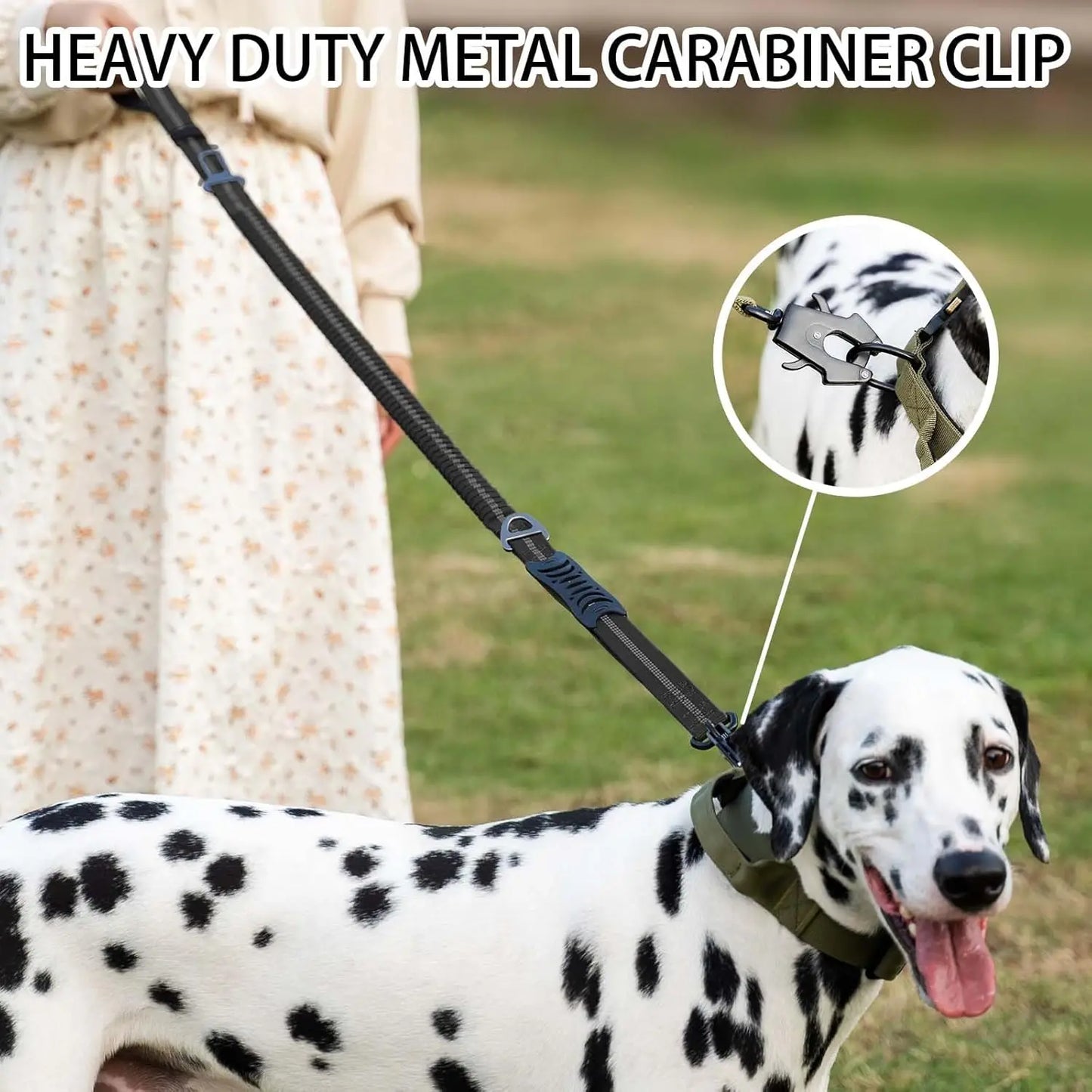 Reflective Shock Absorbing Leash with Car Seatbelt