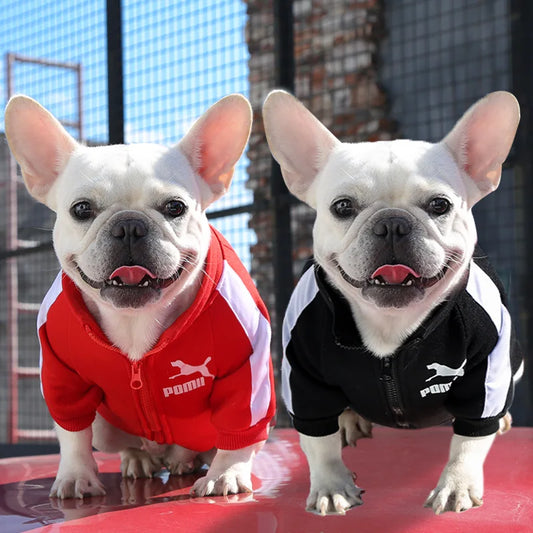 Dog Cat Sweatshirts Customizable, Warm Letter Design for Autumn Winter, Small Medium Large Pet Clothes Trendy Brand Style