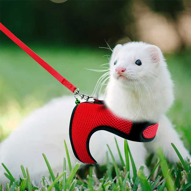 Mesh Breathable Ferret Bunny Harness Leash Set