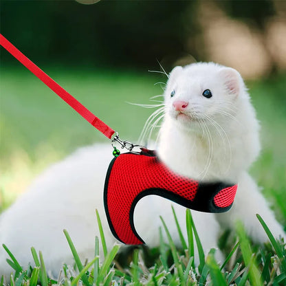 Mesh Breathable Ferret Bunny Harness Leash Set