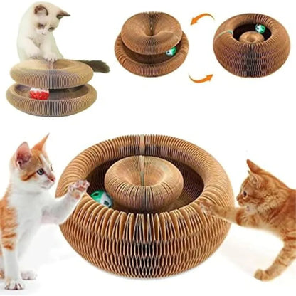 Magic Organ for Indoor Cats Foldable